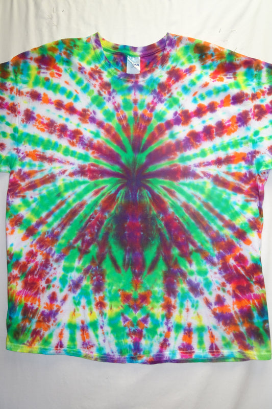 Adult 2X-rainbow spider